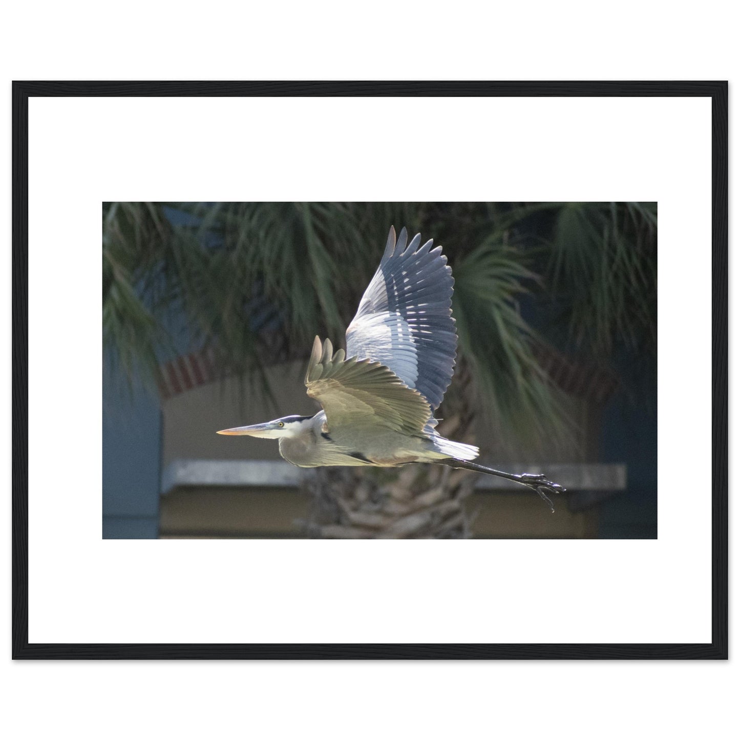 07fe63e0-92bd-406b-ba45-7134937e3931