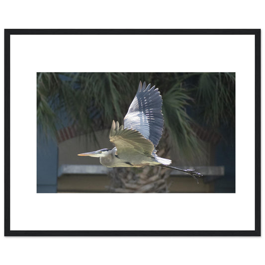 07fe63e0-92bd-406b-ba45-7134937e3931