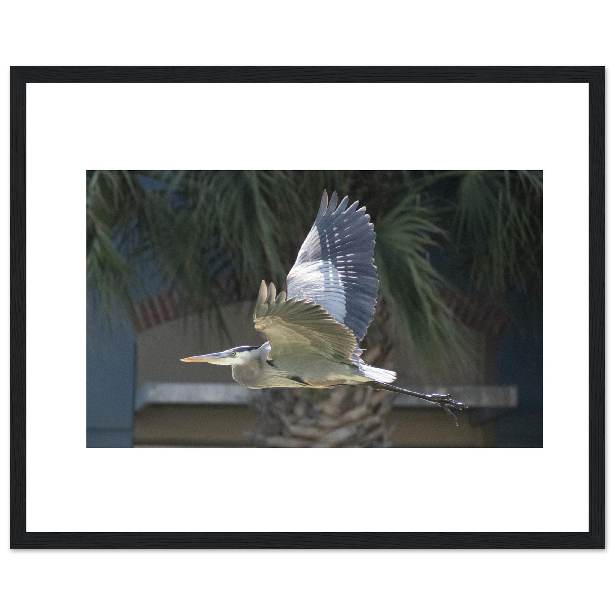 5153bc77-4a84-40a4-90ef-9743a81e232b