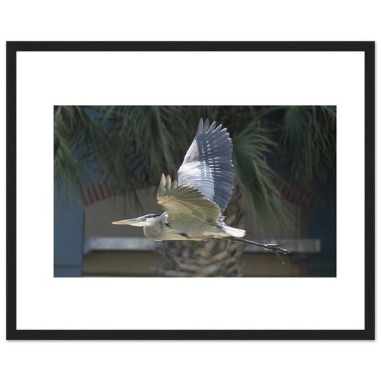 5153bc77-4a84-40a4-90ef-9743a81e232b